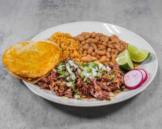 Birria Plate