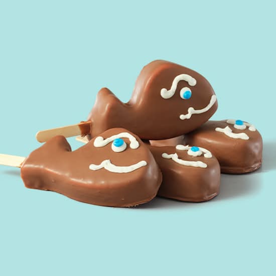 Fudgie Pop