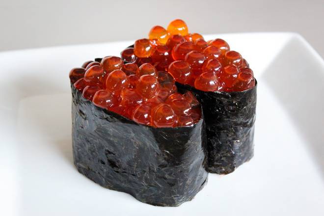 Salmon Egg