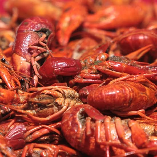 3 Pounds- Boiled Crawfish