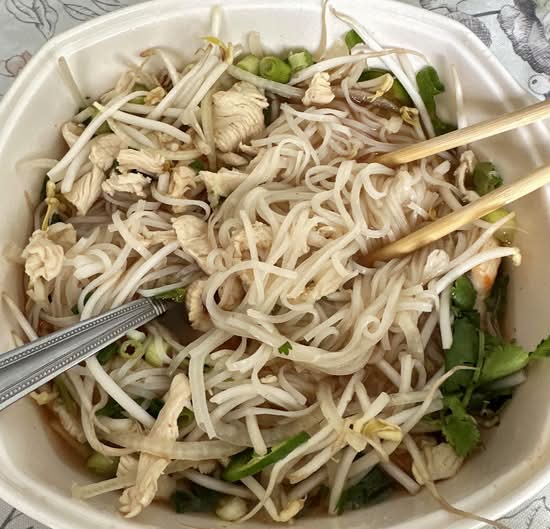P9 - Chicken Pho