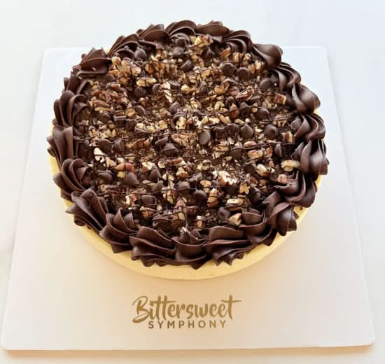 Christmas turtle Cheesecake