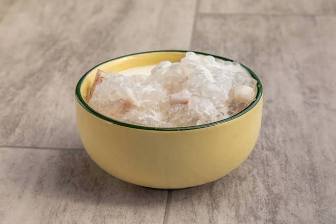 Tapioca Pudding