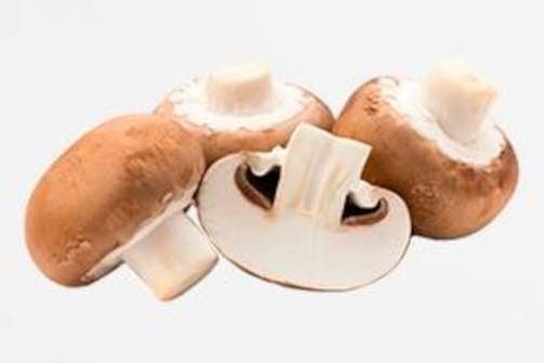 Champiñones