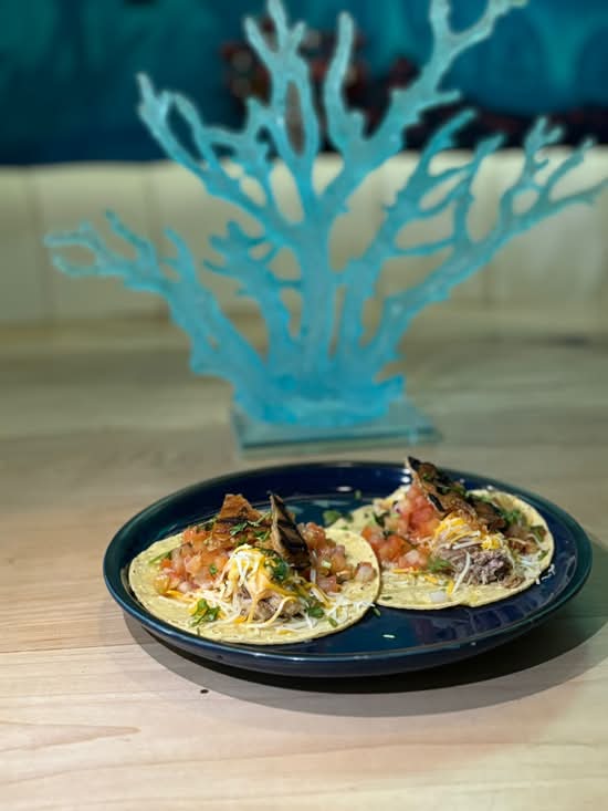 Pork Belly Tacos