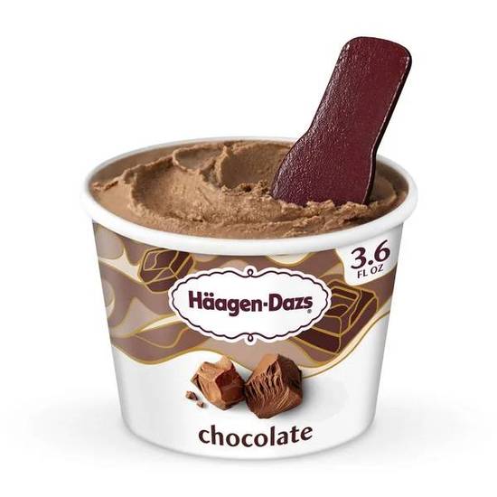 Haagen-Dazs Chocolate Ice Cream