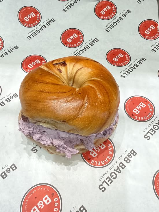 Blueberry Bagel