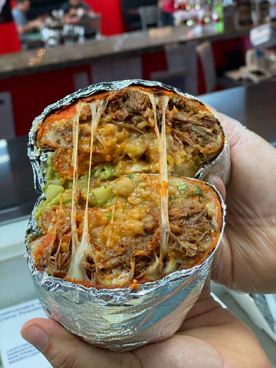 Birria  Burrito Special