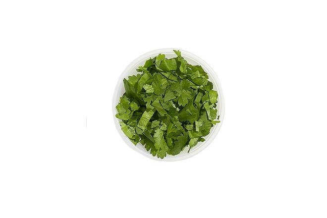 Cilantro