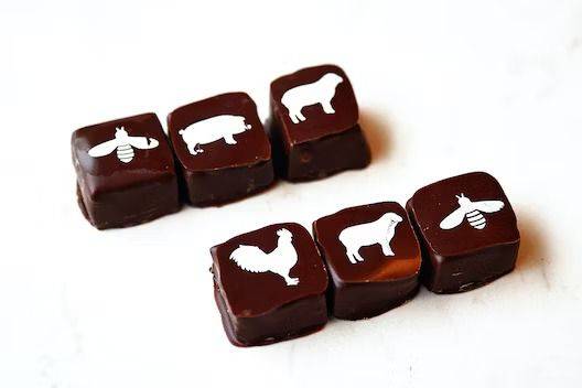 Dark Chocolate Truffles