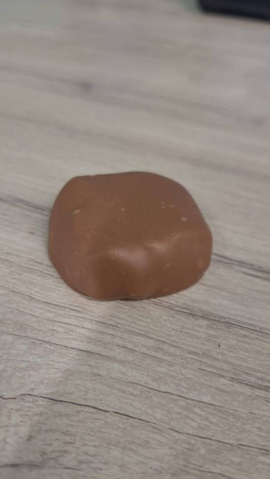 Turtle (1 unit)