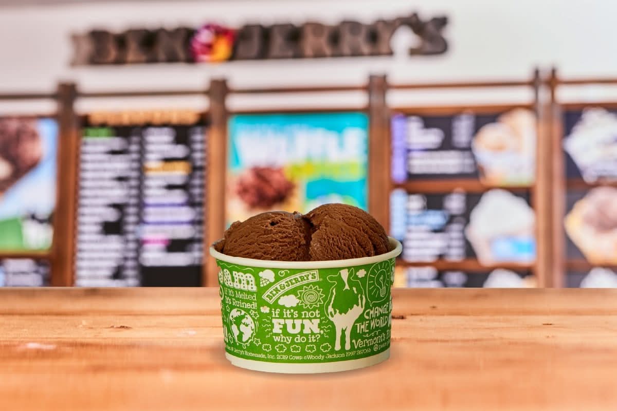 Non-Dairy Small (2 scoops)