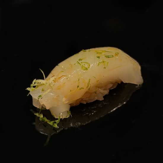 Aori Ika (Bigfin Reef Squid)