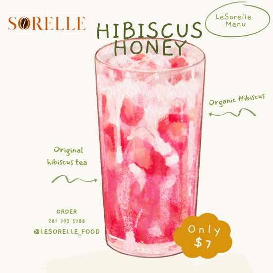 Hibiscus 🌺 Infusion