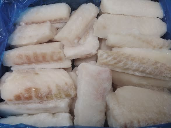 Cod fish