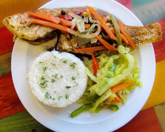 Snapper Fish