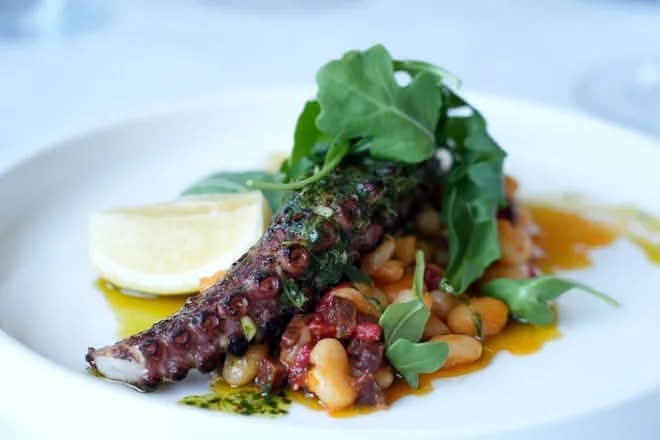 Charred Octopus
