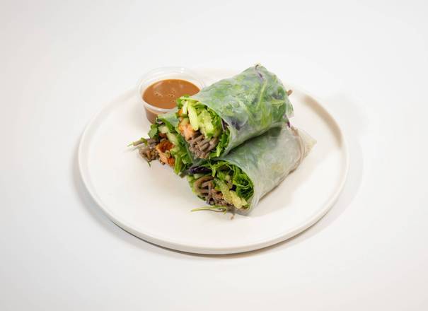 Grilled Salmon Rice Paper Wrap