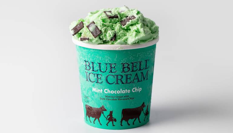 Mint Chocolate Chip Pint (Blue Bell®)