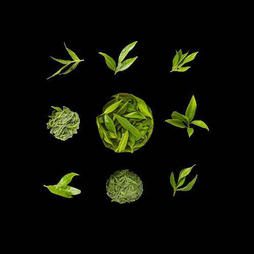 Dragonwell