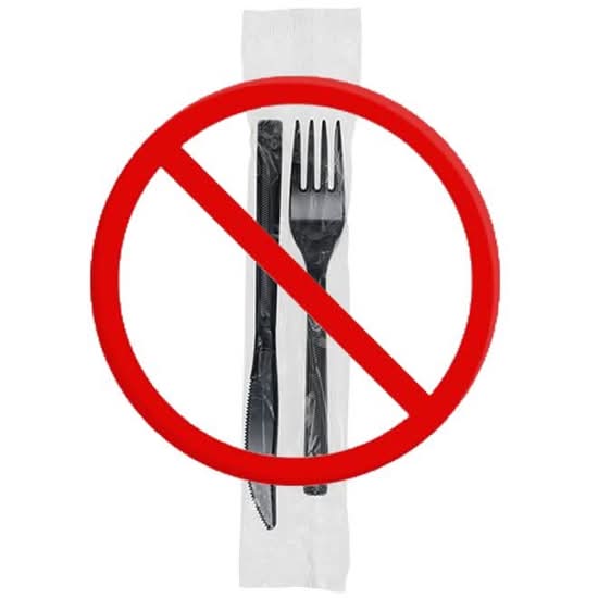 NO - PLASTIC SILVERWARE