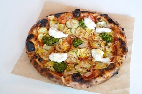 SUMMER SQUASH