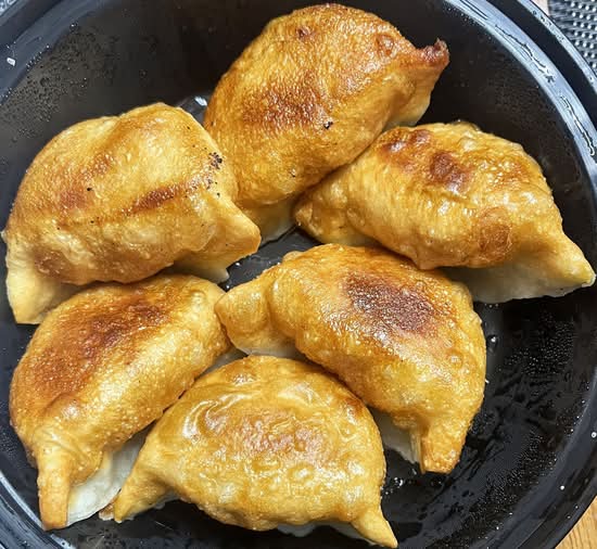 Pan Fried Chicken Dumpling