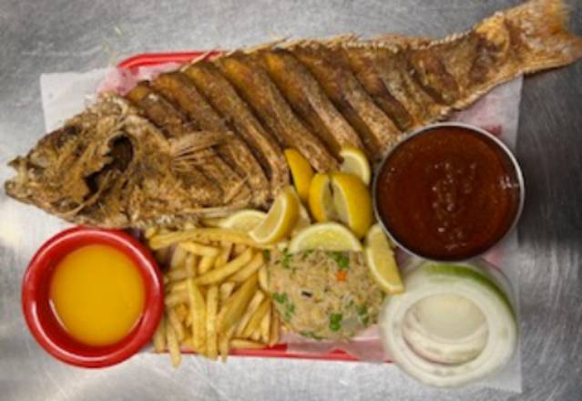 Red Snapper