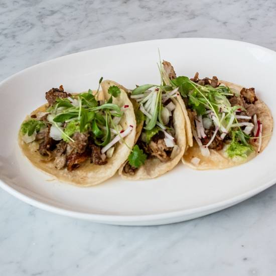 Duck Carnitas