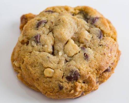 Chocolate Chip Walnut Cookie