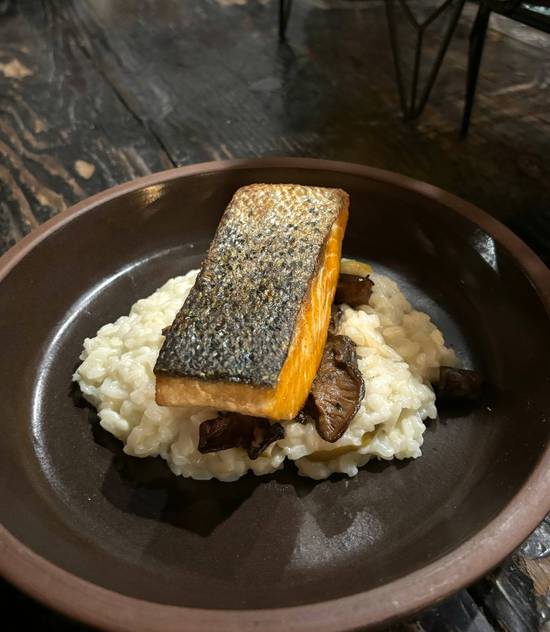 Salmon