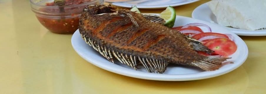 Mojarra Frita / Fried Fish