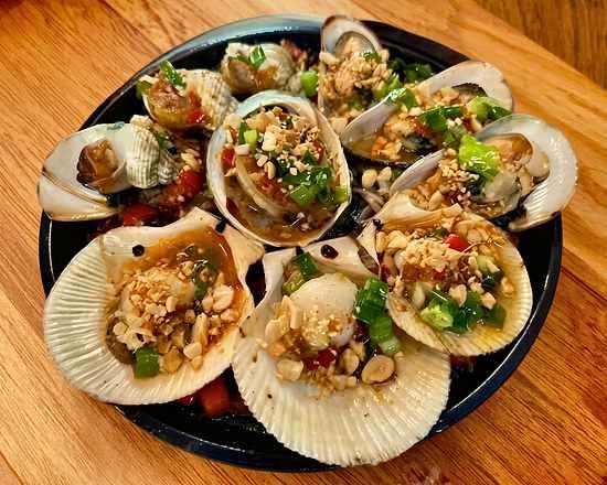 SEASHELL COMBO