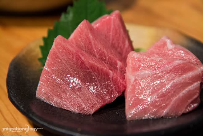 Chu-Toro Sashimi