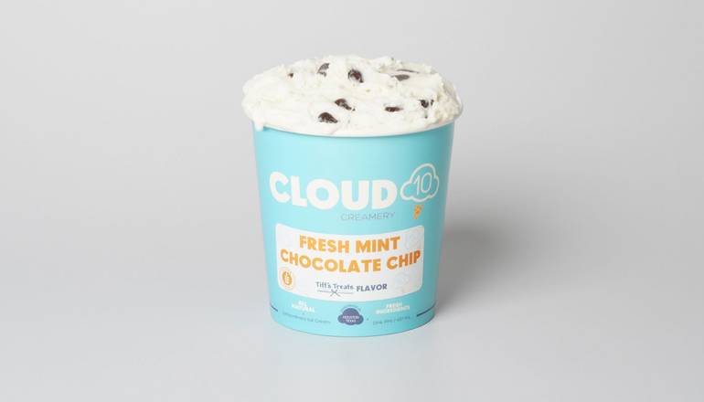 Mint Chocolate Chip Ice Cream Pint
