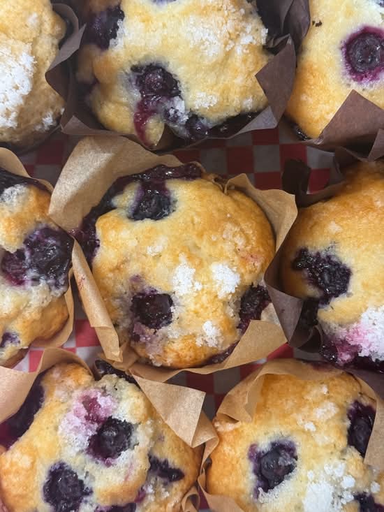 Blueberry Muffin
