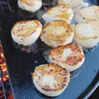 Scallops