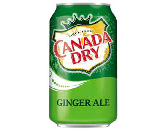 Ginger Ale Can (12 oz)