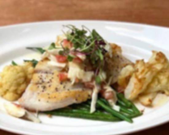 GULF RED SNAPPER