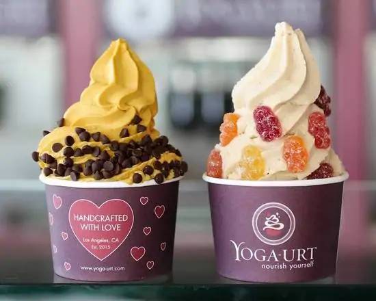 Soft Serve/Frozen Yogurt