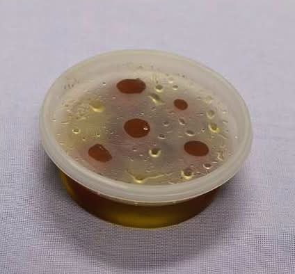 Gulab Jamun