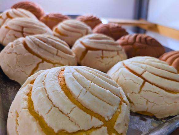 Conchas