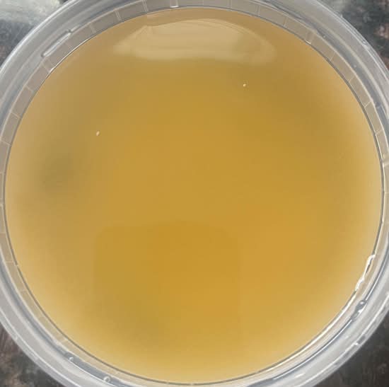 Miso Soup