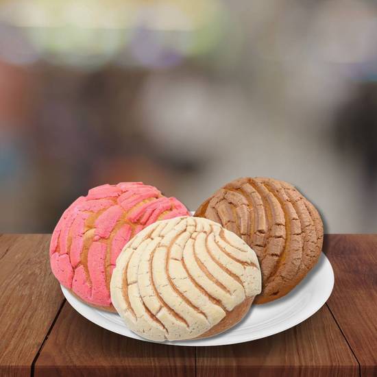 Conchas