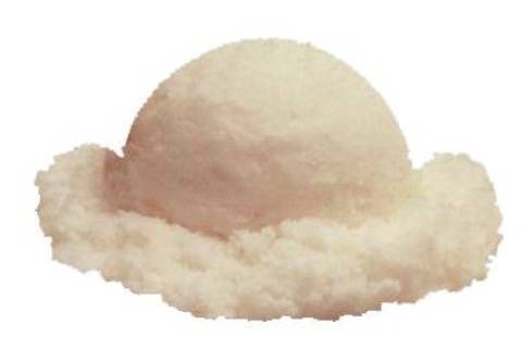 Vanilla Bean