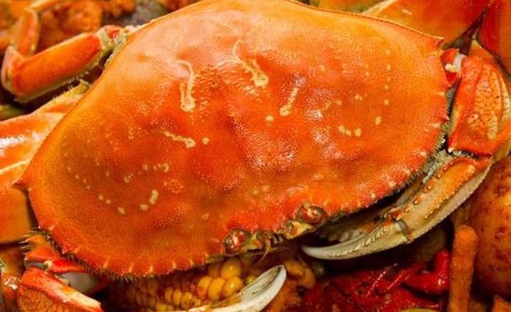 Dungeness Crab