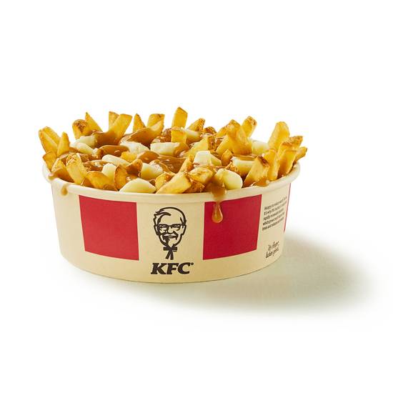 Large Poutine