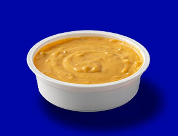 Hot Salsa Cheese Dip
