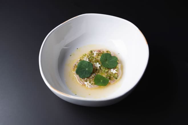 Snapper Ceviche