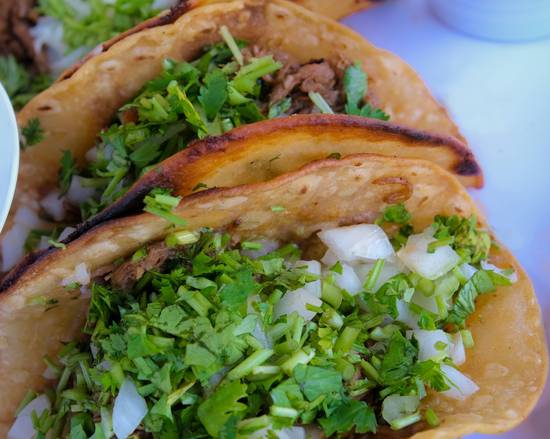Tacobirria